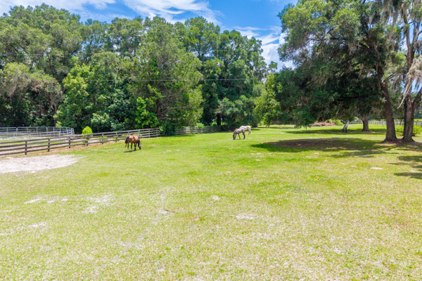Williston Horse Property with Barn & Workshop