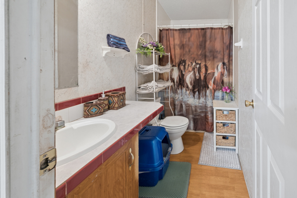 Williston Horse Property with Barn & Workshop