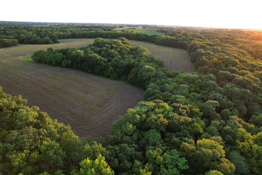 No Caption
