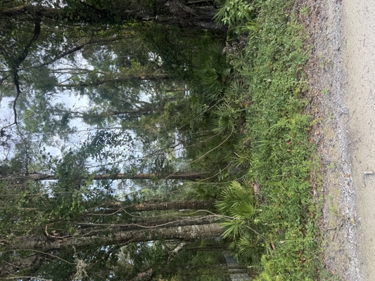 Affordable Vacant Land in Dixie County – Perfect for Future Plans