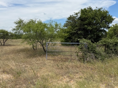 20 Acres in Rising Star TX with Pasture, Woods and Water Well - image 3