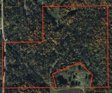 39.12± Acres with Recreation & Investment Potential - image 1