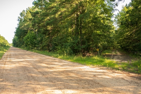 Jelks Bayou 360 - Timber and Hunting Investment Morehouse Parish - image 50
