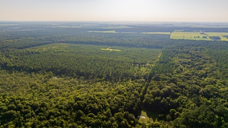 Jelks Bayou 360 - Timber and Hunting Investment Morehouse Parish - image 36