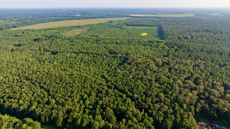 Jelks Bayou 360 - Timber and Hunting Investment Morehouse Parish - image 26