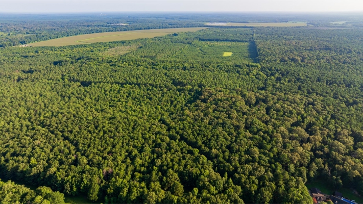 Jelks Bayou 360 - Timber and Hunting Investment Morehouse Parish