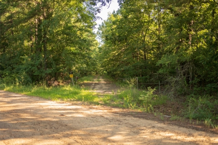 Jelks Bayou 360 - Timber and Hunting Investment Morehouse Parish - image 49