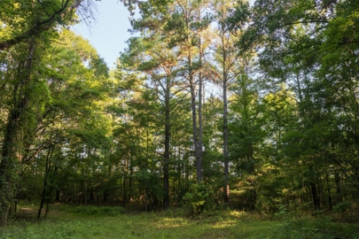 Listing 39