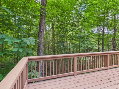 Mountain Home for Sale in Boone, NC - image 18