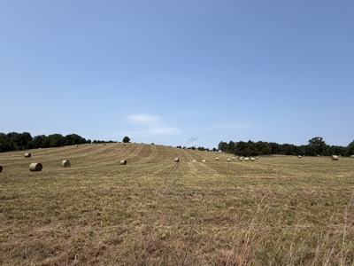 Pastureland For Sale In North Central Arkansas - image 27