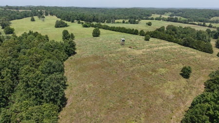 Pastureland For Sale In North Central Arkansas - image 7