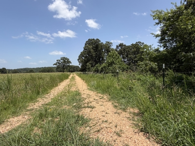 Pastureland For Sale In North Central Arkansas - image 22