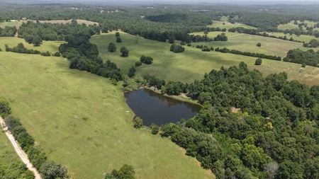 Pastureland For Sale In North Central Arkansas - image 4