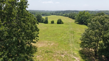 Pastureland For Sale In North Central Arkansas - image 1