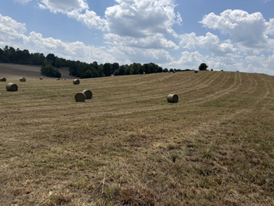 Pastureland For Sale In North Central Arkansas - image 26
