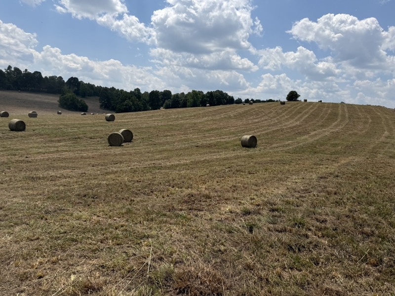 No Caption