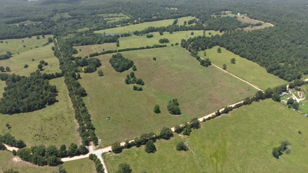Pastureland For Sale In North Central Arkansas - image 12