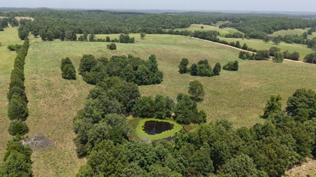 Pastureland For Sale In North Central Arkansas - image 8