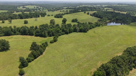 Pastureland For Sale In North Central Arkansas - image 2