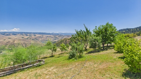 Home with large greenhouse on 20 Acres near the Salmon River - image 35