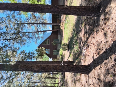 Cozy Cabin Located in Northern New Mexico - image 15