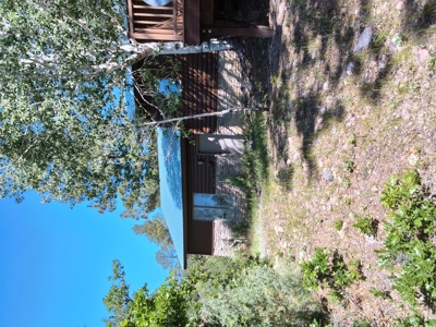 Cozy Cabin Located in Northern New Mexico - image 11