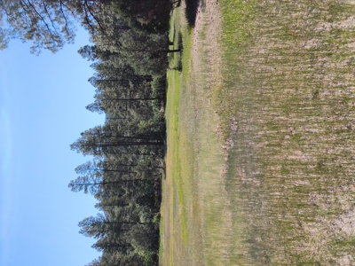 Cozy Cabin Located in Northern New Mexico - image 17