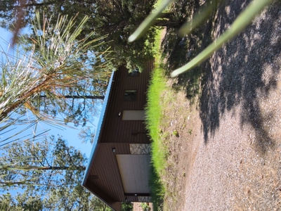 Cozy Cabin Located in Northern New Mexico - image 13