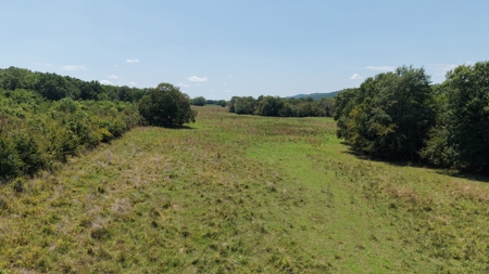 1,189 +/- Acres FOR SALE | Cattle Ranch in Latimer County, OK - image 14