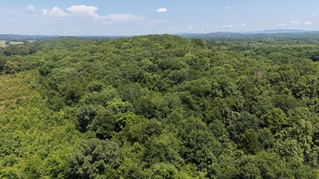 1,189 +/- Acres FOR SALE | Cattle Ranch in Latimer County, OK - image 18