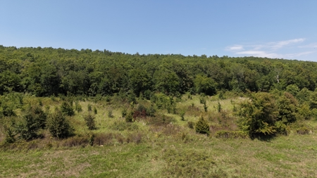 1,189 +/- Acres FOR SALE | Cattle Ranch in Latimer County, OK - image 24