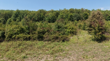 1,189 +/- Acres FOR SALE | Cattle Ranch in Latimer County, OK - image 26