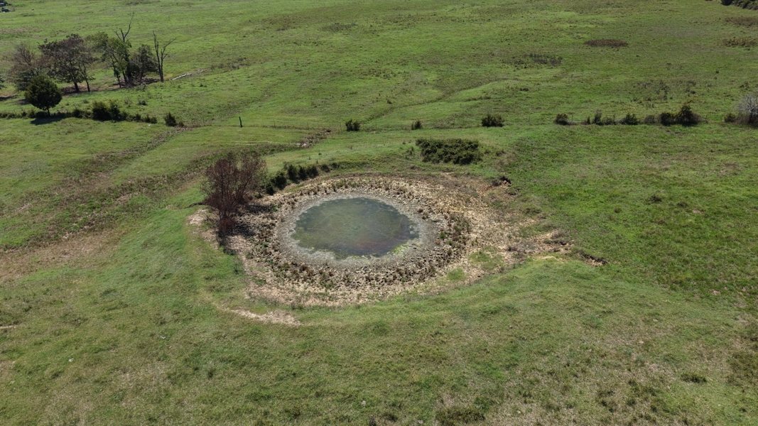 No Caption
