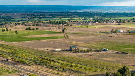 Income-producing Colorado tree farm for sale with custom home - image 15
