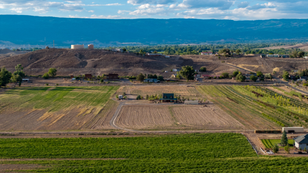 Income-producing Colorado tree farm for sale with custom home - image 19