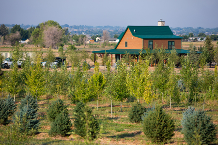 Income-producing Colorado tree farm for sale with custom home - image 1
