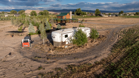 Income-producing Colorado tree farm for sale with custom home - image 48