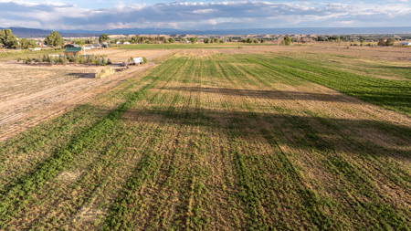 Income-producing Colorado tree farm for sale with custom home - image 13
