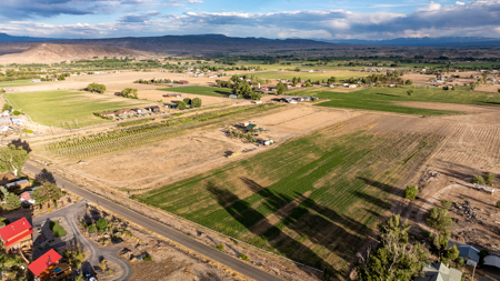 Income-producing Colorado tree farm for sale with custom home - image 16