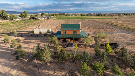 Income-producing Colorado tree farm for sale with custom home - image 17