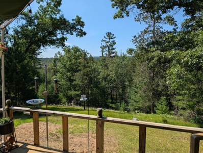 Updated Canada Creek Ranch Cabin on Three Lots Atlanta MI - image 35