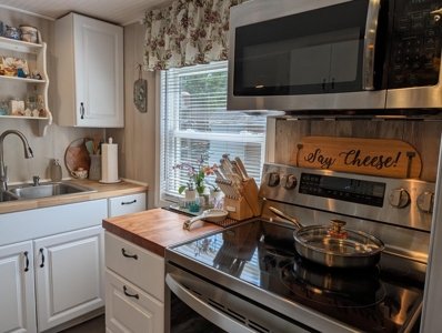 Updated Canada Creek Ranch Cabin on Three Lots Atlanta MI - image 9