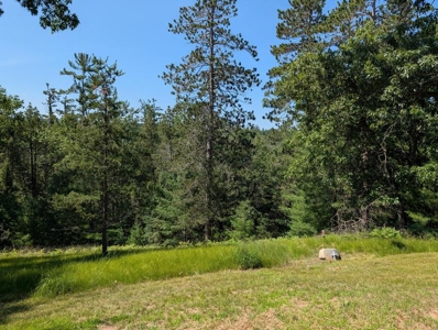 Updated Canada Creek Ranch Cabin on Three Lots Atlanta MI - image 33