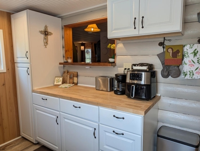 Updated Canada Creek Ranch Cabin on Three Lots Atlanta MI - image 10