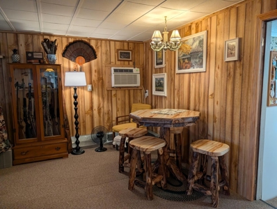 Updated Canada Creek Ranch Cabin on Three Lots Atlanta MI - image 14