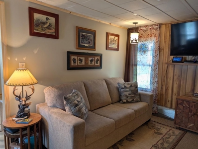 Updated Canada Creek Ranch Cabin on Three Lots Atlanta MI - image 16