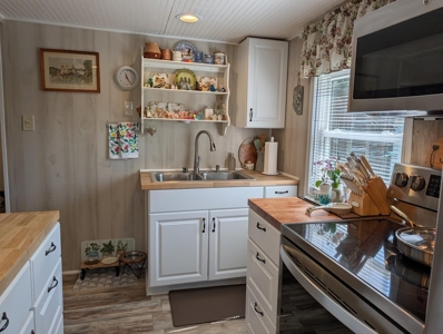 Updated Canada Creek Ranch Cabin on Three Lots Atlanta MI - image 3