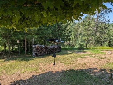 Updated Canada Creek Ranch Cabin on Three Lots Atlanta MI - image 31
