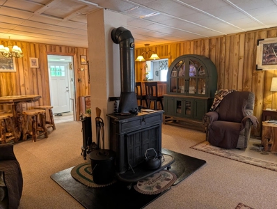 Updated Canada Creek Ranch Cabin on Three Lots Atlanta MI - image 4
