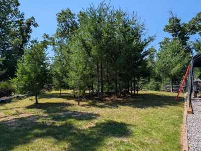 Updated Canada Creek Ranch Cabin on Three Lots Atlanta MI - image 40